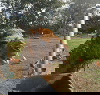 Mudgees Getaway Cottages - Accommodation Mount Tamborine