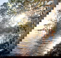 NRMA Myall Shores Holiday Park - Accommodation Mount Tamborine