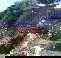 Sea Rose - Accommodation Mount Tamborine