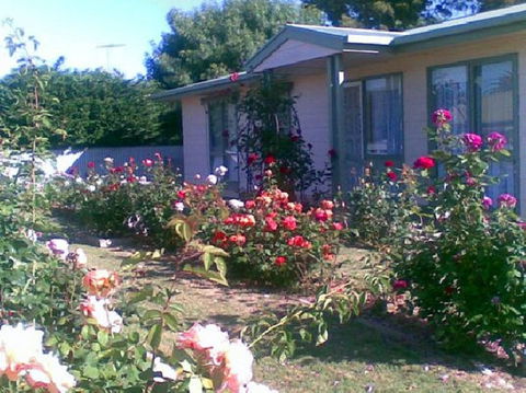 Sea Rose - Accommodation Mount Tamborine 0