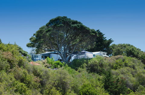 Sorrento Foreshore Camping - Accommodation Mount Tamborine 2