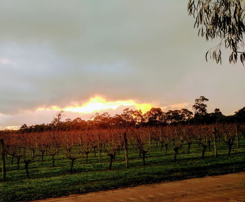 The Grove Distillery And Brewery - Accommodation Mount Tamborine 0