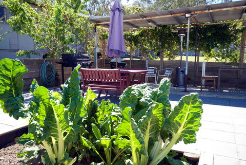 The Jabiru Motel - Accommodation Mount Tamborine 2