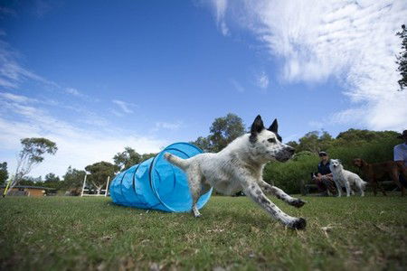 North Beach Holiday Park - Accommodation Mount Tamborine 1