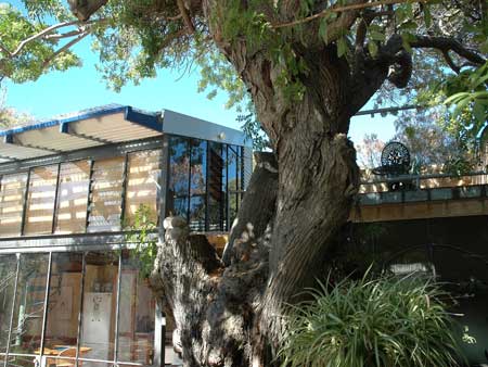 The Painted Fish - Accommodation Mount Tamborine 3