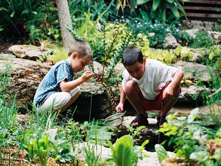 The Painted Fish - Accommodation Mount Tamborine 4