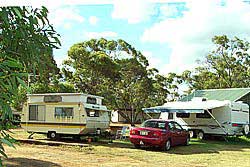 Ravensthorpe Caravan Park - Accommodation Mount Tamborine 2