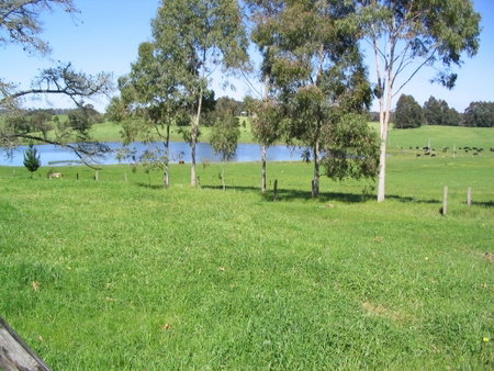 Warren Grange Farmstay And Bed & Breakfast - Accommodation Mount Tamborine 3