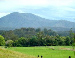 Bellingen Farmstay - Accommodation Mount Tamborine 4