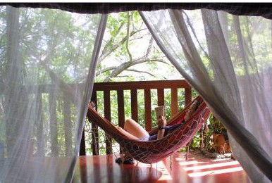 Bellingen YHA Hostel - Accommodation Mount Tamborine 1