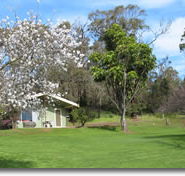 Country Cottages - Accommodation Mount Tamborine