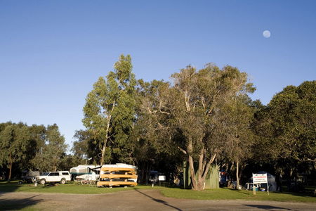 Molloy Caravan Park - Accommodation Mount Tamborine 1