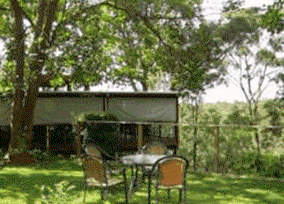 Watagan Lodge - Accommodation Mount Tamborine 1