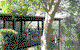 Watagan Lodge - thumb 5
