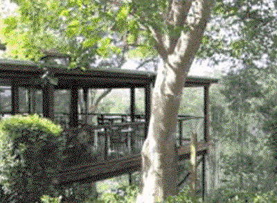 Watagan Lodge - Accommodation Mount Tamborine 5