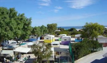 Shark Bay Caravan Park - Accommodation Mount Tamborine 2