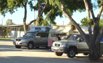 Shark Bay Caravan Park - Accommodation Mount Tamborine 3
