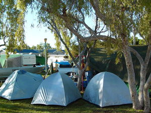 Ningaloo Caravan And Holiday Resort - Accommodation Mount Tamborine 2