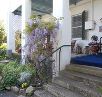 Norman House - Accommodation Mount Tamborine