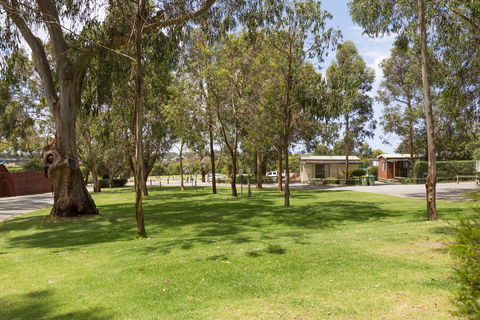 A Maze'N Things Holiday Park And Motel - Accommodation Mount Tamborine 0