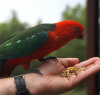 Barrington Tops Escapes - Accommodation Mount Tamborine