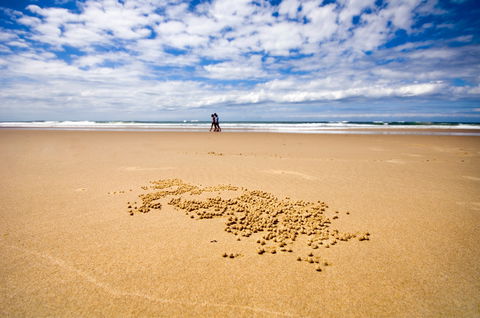BIG4 Nambucca Beach Holiday Park - Accommodation Mount Tamborine 1