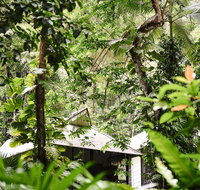 Daintree Ecolodge - Accommodation Mount Tamborine