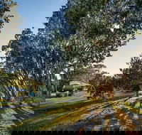 Delicate campground - Accommodation Mount Tamborine