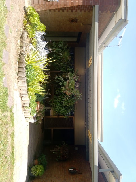 Hilltop Escape B&B - Accommodation Mount Tamborine 0