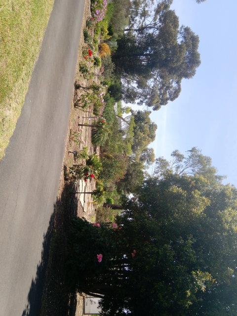 Hilltop Escape B&B - Accommodation Mount Tamborine 1