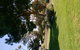 Hilltop Escape B&B - thumb 2