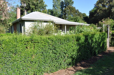 Honeysuckle Cottage - Accommodation Mount Tamborine 1