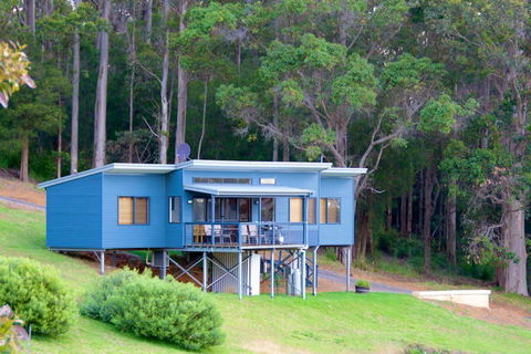 Karrak Reach Forest Retreat - Accommodation Mount Tamborine 0