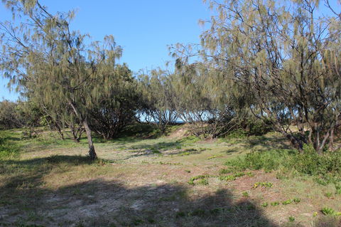 K'gari (Fraser Island) Camping, Great Sandy National Park - Accommodation Mount Tamborine 1