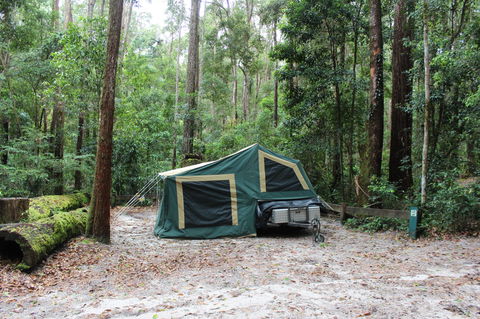 K'gari (Fraser Island) Camping, Great Sandy National Park - Accommodation Mount Tamborine 2