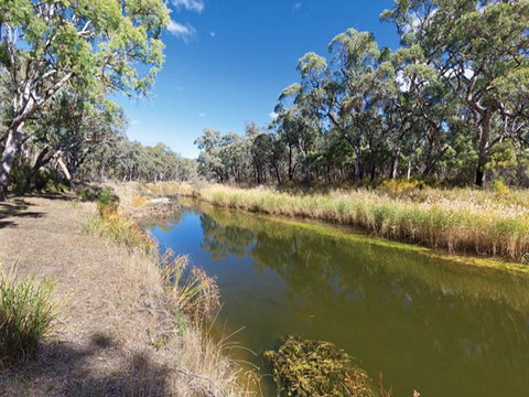 Kings Plains Creek Campground - Accommodation Mount Tamborine 1
