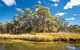 Kings Plains Creek Campground - thumb 2
