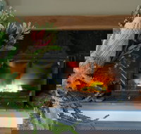 Koala Gully - Accommodation Mount Tamborine