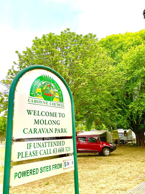 Molong Caravan Park - Accommodation Mount Tamborine 0