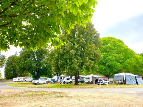 Molong Caravan Park - Accommodation Mount Tamborine 1