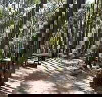 Perth Hills Centre Campground at Beelu National Park - Accommodation Mount Tamborine