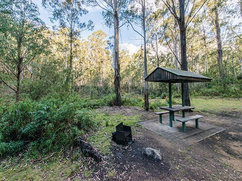 Postmans Campground - Accommodation Mount Tamborine 0