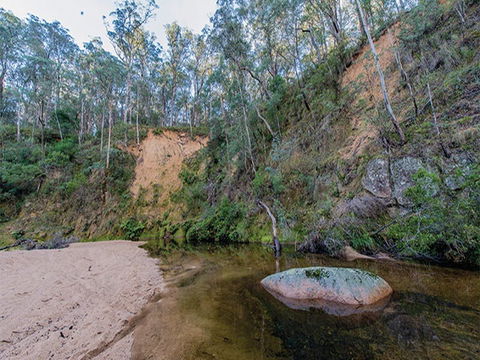 Postmans Campground - Accommodation Mount Tamborine 1
