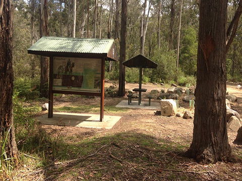 Postmans Campground - Accommodation Mount Tamborine 2