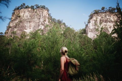 Sandstone Park Carnarvon Gorge - Accommodation Mount Tamborine 0