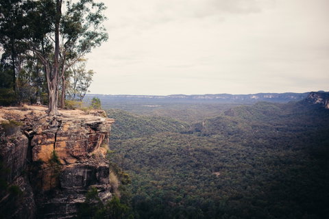 Sandstone Park Carnarvon Gorge - Accommodation Mount Tamborine 1
