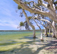 Shoal Cape Camp at Stokes National Park - Accommodation Mount Tamborine