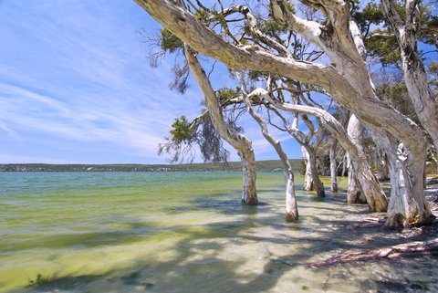 Shoal Cape Camp At Stokes National Park - Accommodation Mount Tamborine 0