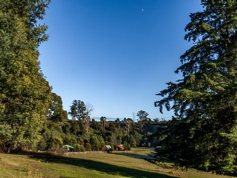 Tin Dragon Trail Cottages - Accommodation Mount Tamborine 0