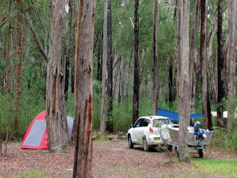 Wallingat River Campground - Accommodation Mount Tamborine 0